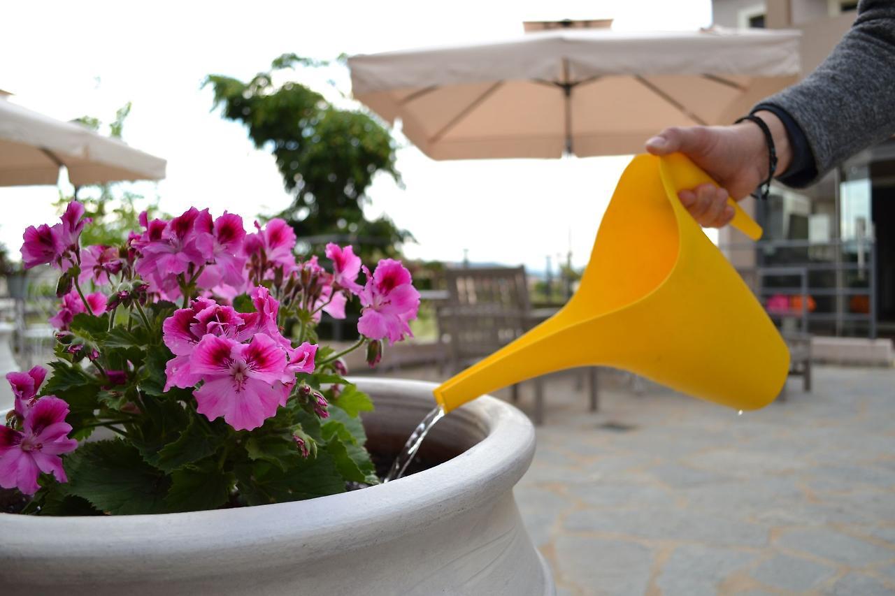 Ellopia Point Hotel Ioannina Bagian luar foto