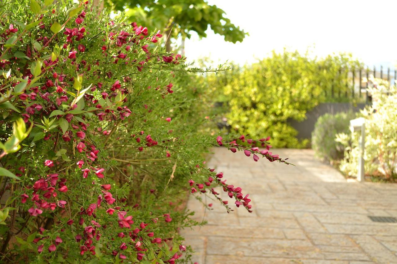 Ellopia Point Hotel Ioannina Bagian luar foto