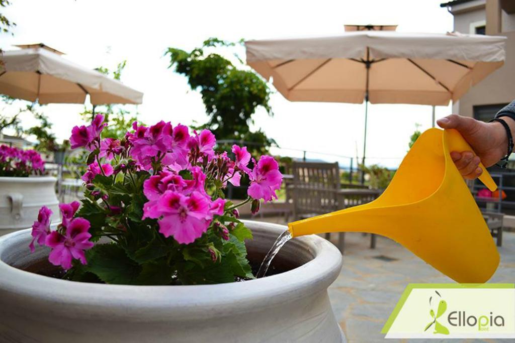 Ellopia Point Hotel Ioannina Bagian luar foto