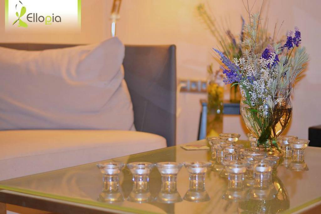 Ellopia Point Hotel Ioannina Bagian luar foto